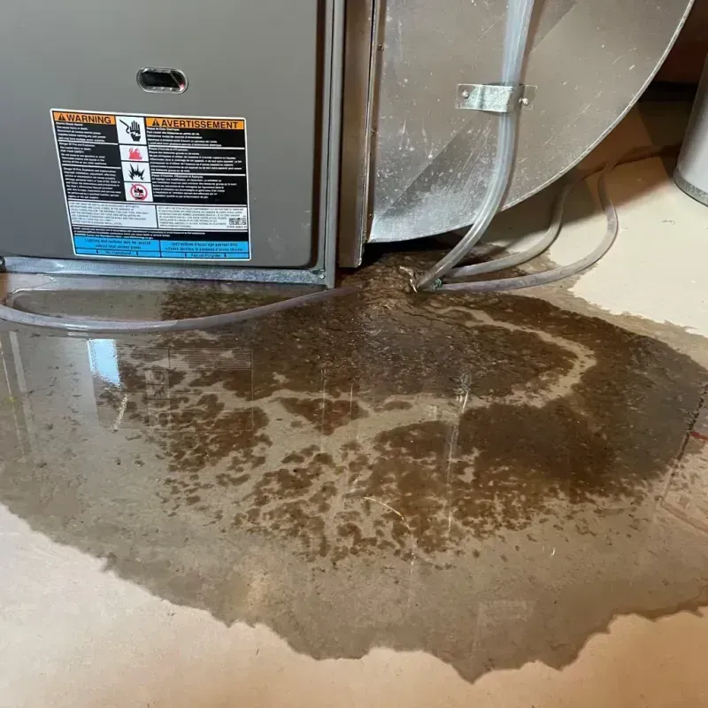 Appliance Leak Cleanup in Douglas, GA